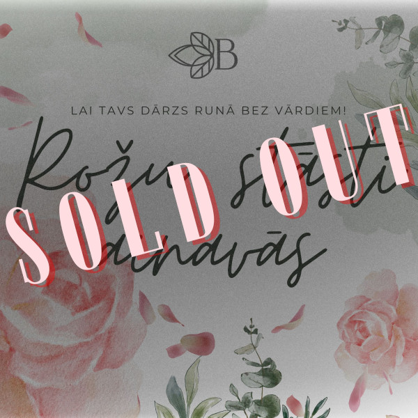 VINTAGE CORNEAL LECTURE IN PEAR ROSES